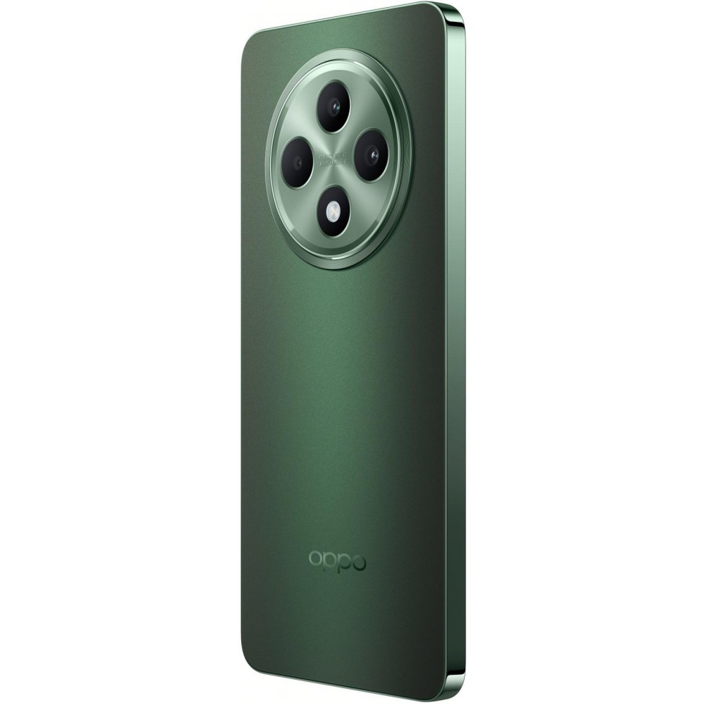 Смартфон Oppo Reno12 F 5G 8/256GB Black Green