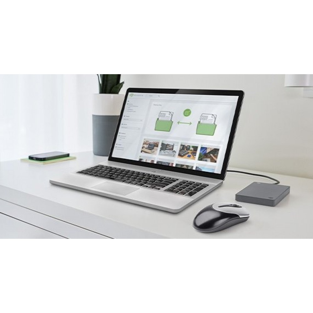 Внешний жесткий диск 2.5" USB 1.0TB Seagate Basic Gray (STJL1000400)